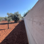 Il muro brutalista
