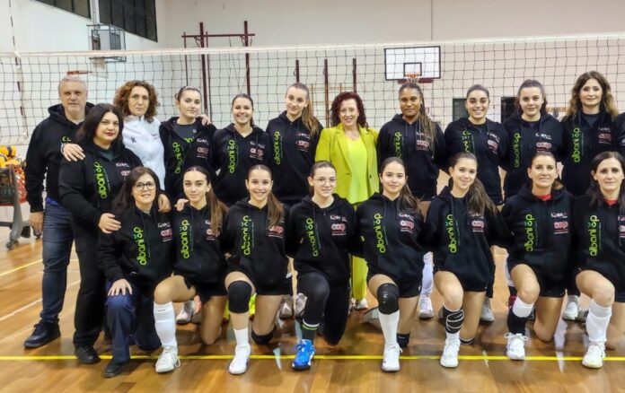 Koira Volley