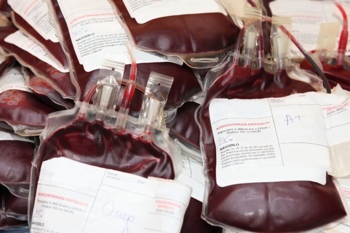 sacche di sangue