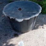 randagi in un cesto, Comiso