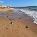 rose, scoglitti commemorazione